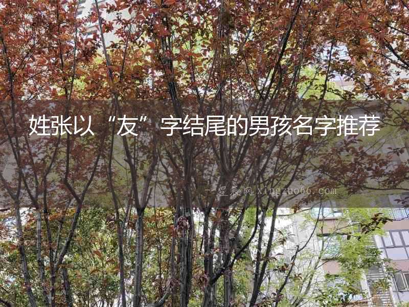 姓張以“友”字結尾的男孩名字推薦