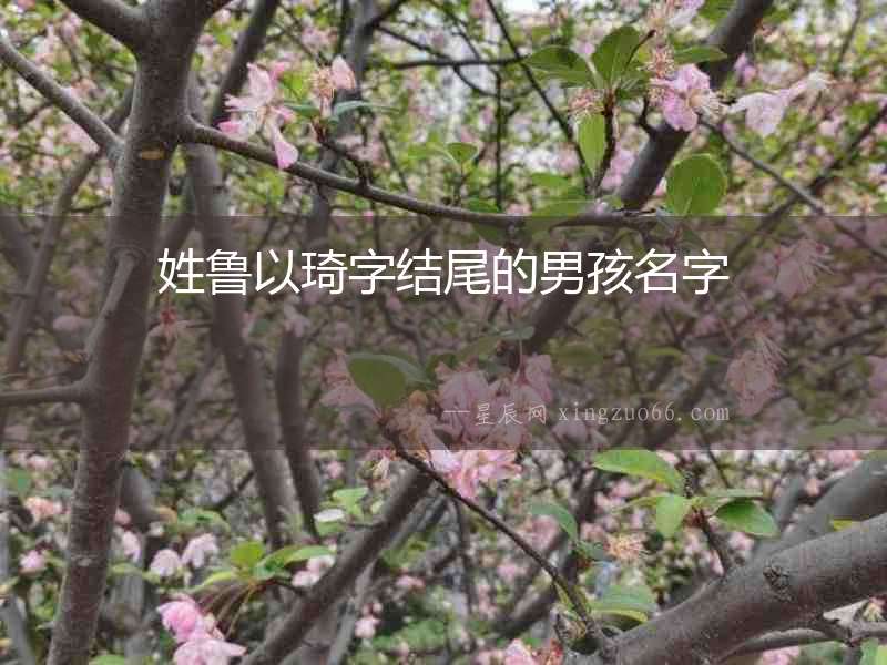 姓魯以琦字結尾的男孩名字