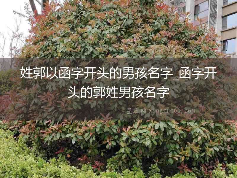 姓郭以函字開頭的男孩名字_函字開頭的郭姓男孩名字