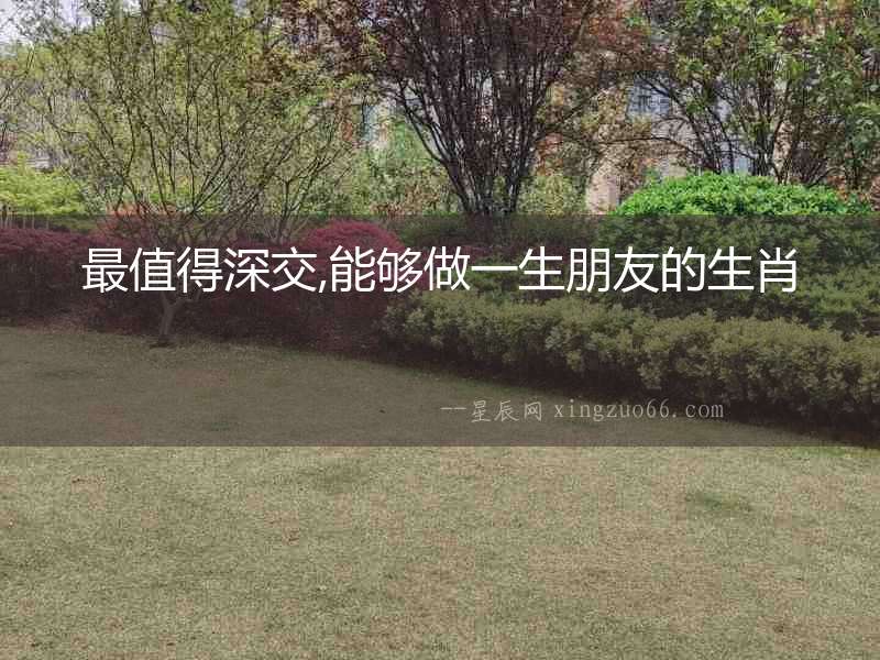 最值得深交,能夠做一生朋友的生肖