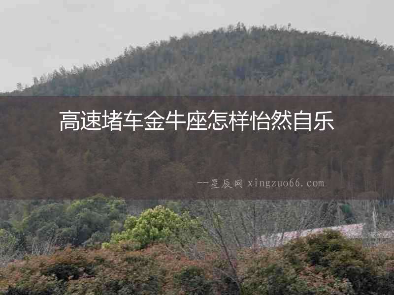 高速堵車金牛座怎樣怡然自樂