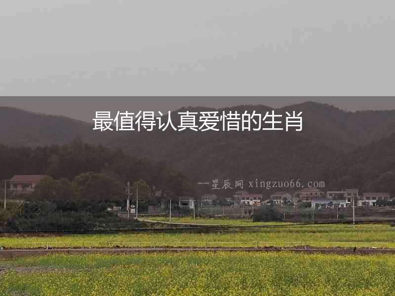 最值得認真愛惜的生肖