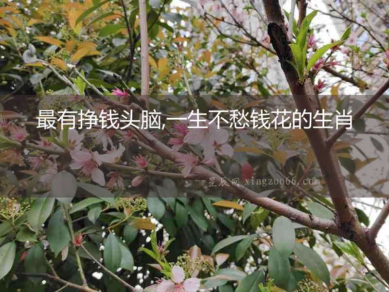 最有掙錢頭腦,一生不愁錢花的生肖