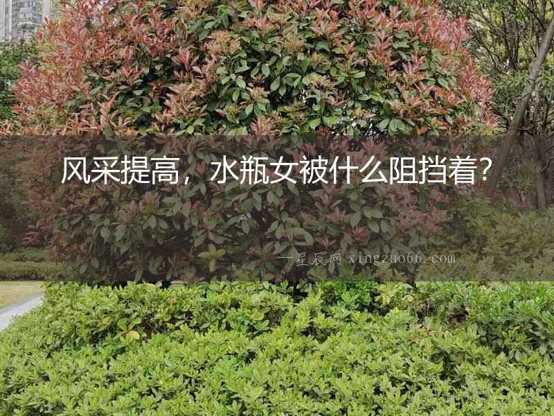 風采提高，水瓶女被什么阻擋著？