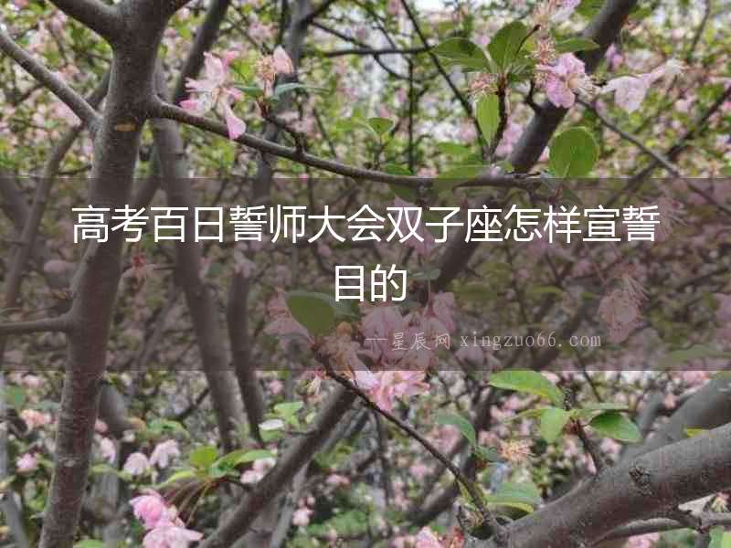 高考百日誓師大會(huì)雙子座怎樣宣誓目的