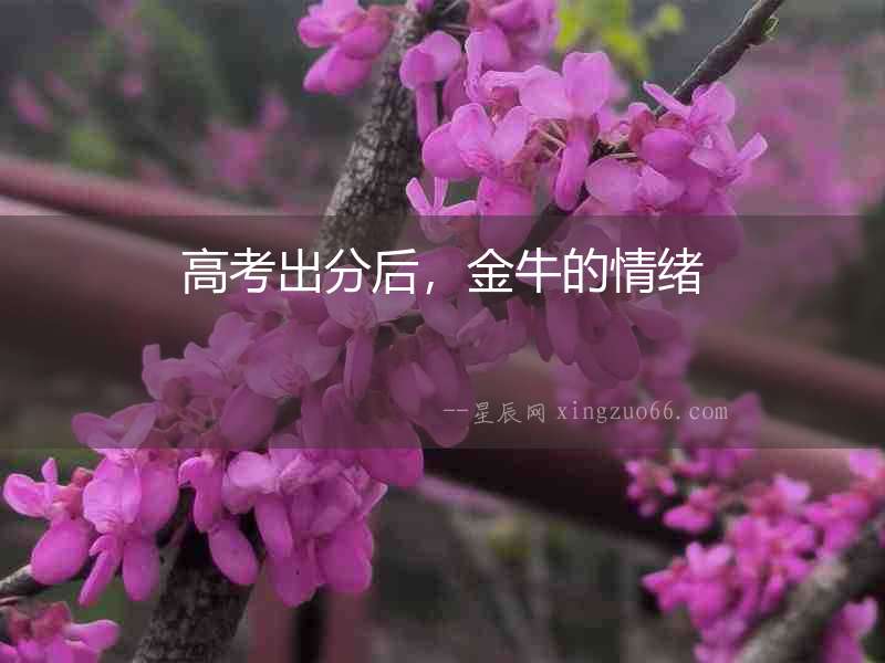 高考出分后，金牛的情緒
