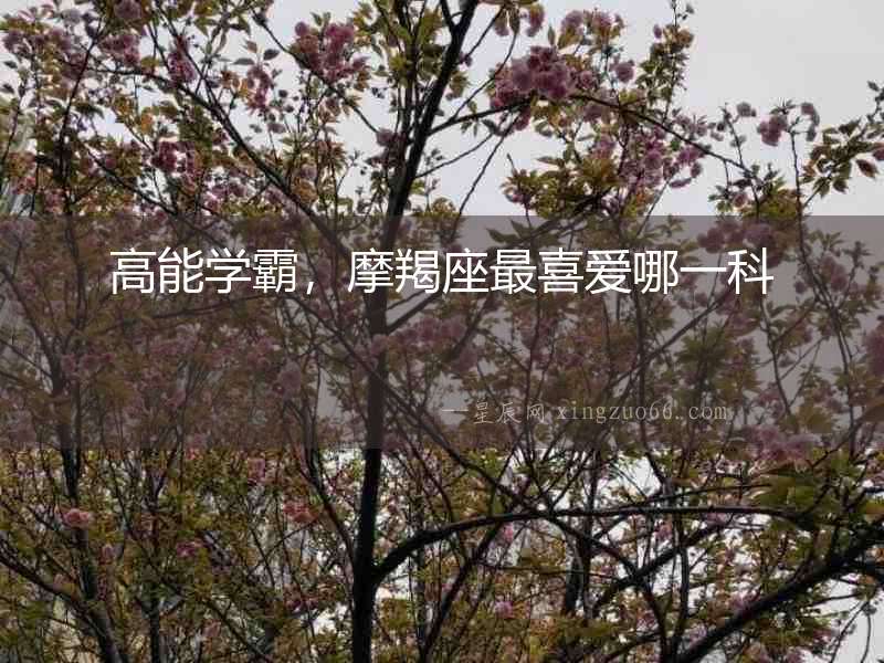 高能學霸，摩羯座最喜愛哪一科