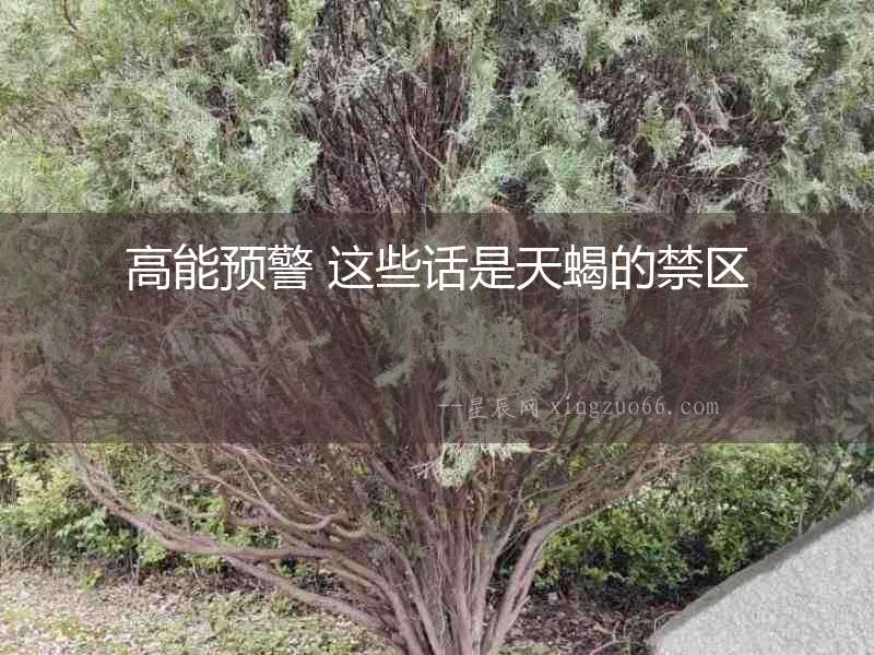 高能預(yù)警 這些話是天蝎的禁區(qū)