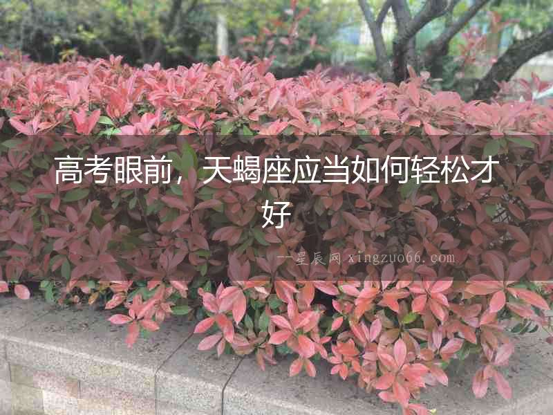 高考眼前，天蝎座應當如何輕松才好