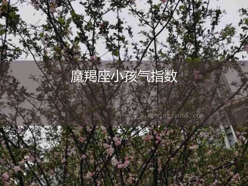 魔羯座小孩氣指數