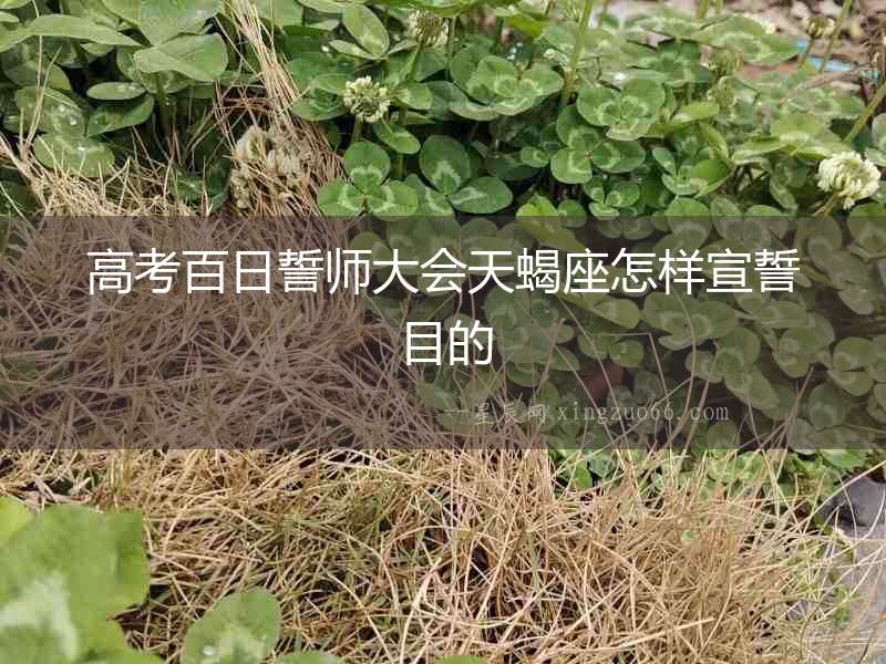 高考百日誓師大會(huì)天蝎座怎樣宣誓目的