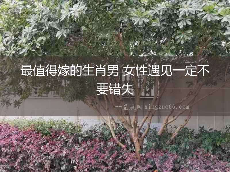 最值得嫁的生肖男 女性遇見一定不要錯失