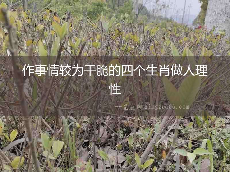 作事情較為干脆的四個(gè)生肖做人理性