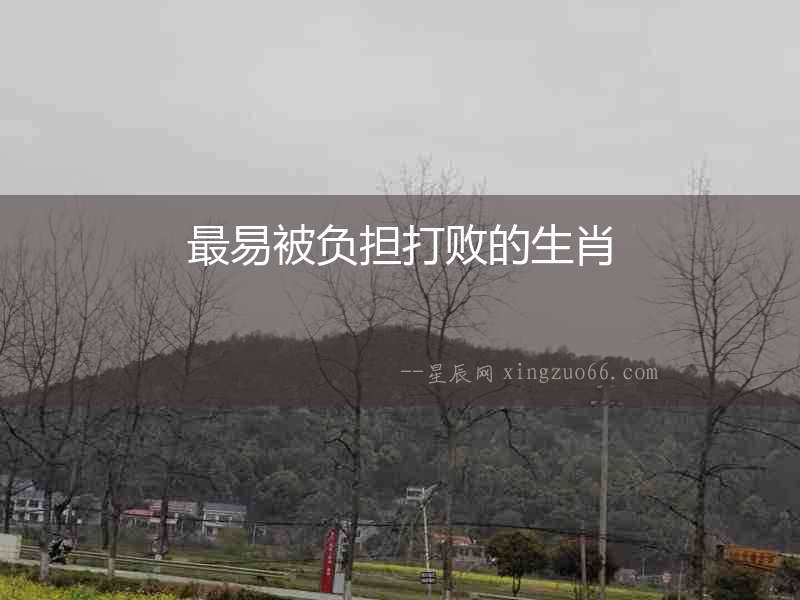 最易被負擔打敗的生肖