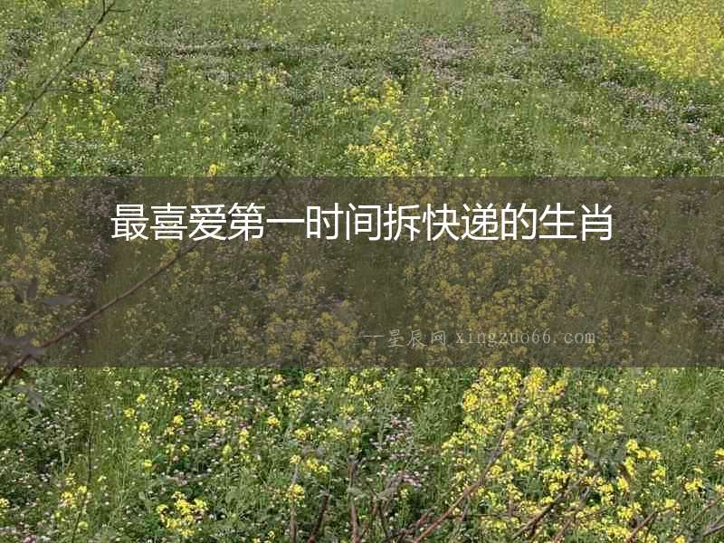 最喜愛第一時間拆快遞的生肖