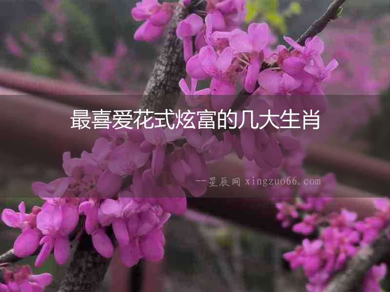 最喜愛花式炫富的幾大生肖