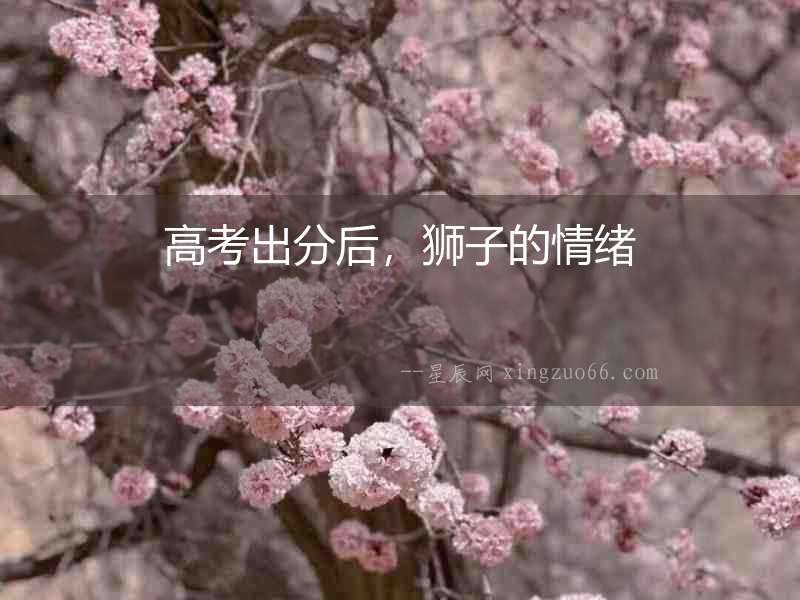 高考出分后，獅子的情緒