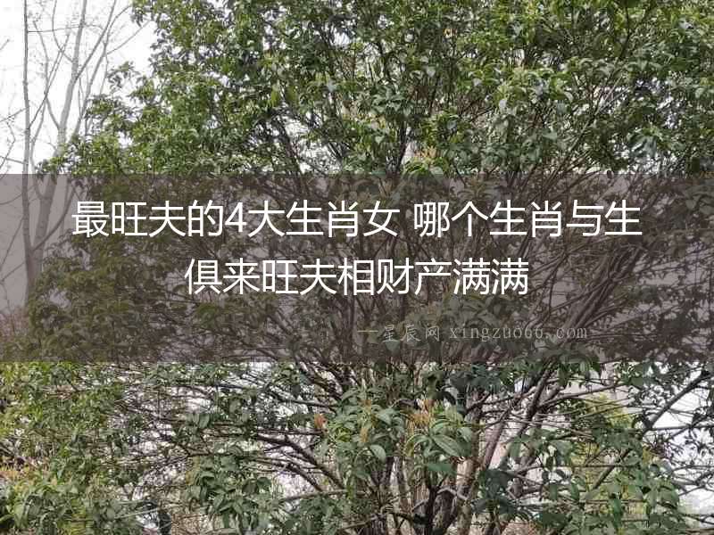 最旺夫的4大生肖女 哪個(gè)生肖與生俱來(lái)旺夫相財(cái)產(chǎn)滿滿