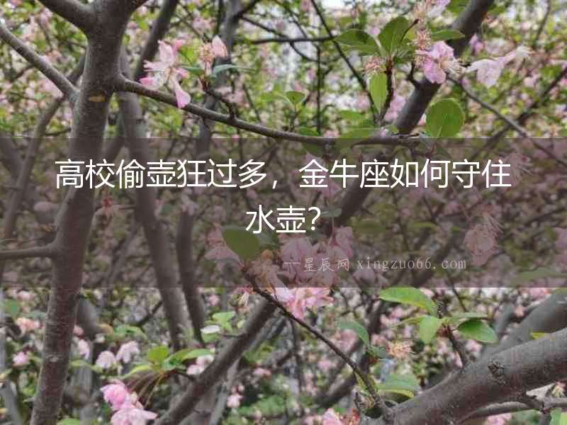 高校偷壺狂過多，金牛座如何守住水壺？