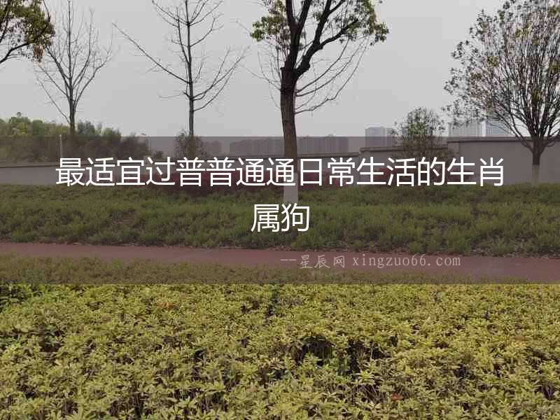 最適宜過普普通通日常生活的生肖屬狗
