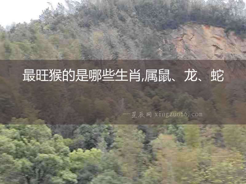 最旺猴的是哪些生肖,屬鼠、龍、蛇