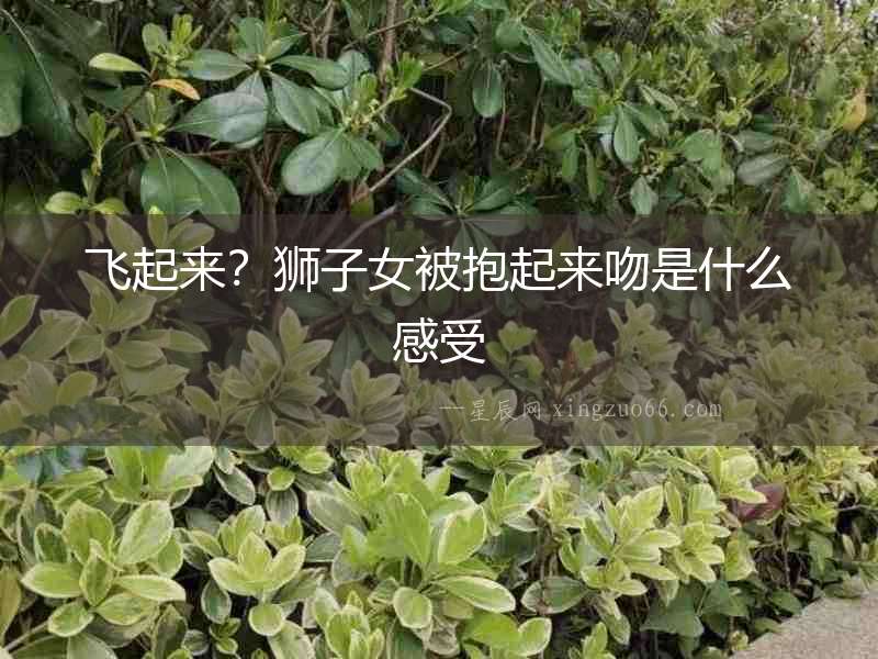 飛起來？獅子女被抱起來吻是什么感受