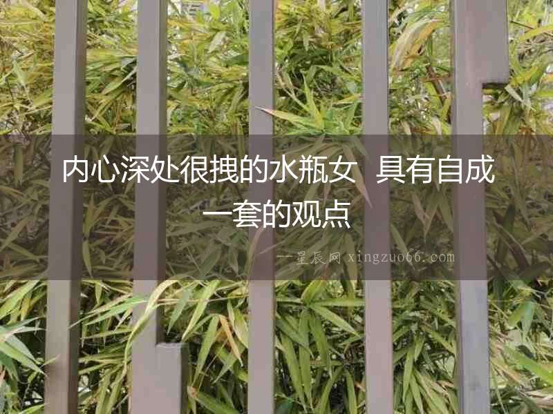內心深處很拽的水瓶女  具有自成一套的觀點