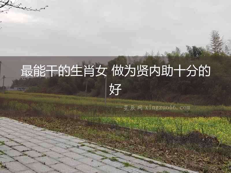 最能干的生肖女 做為賢內(nèi)助十分的好
