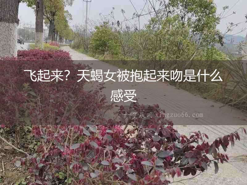 飛起來？天蝎女被抱起來吻是什么感受