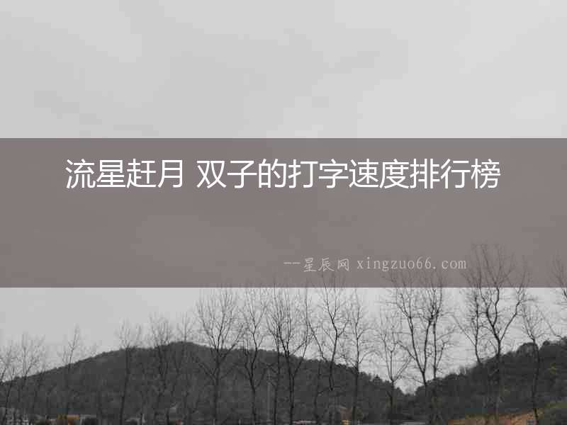 流星趕月 雙子的打字速度排行榜