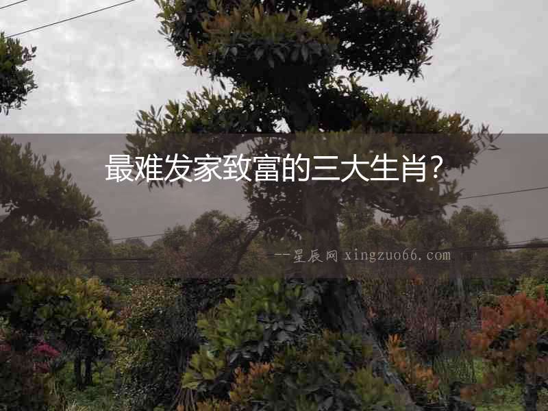 最難發(fā)家致富的三大生肖？
