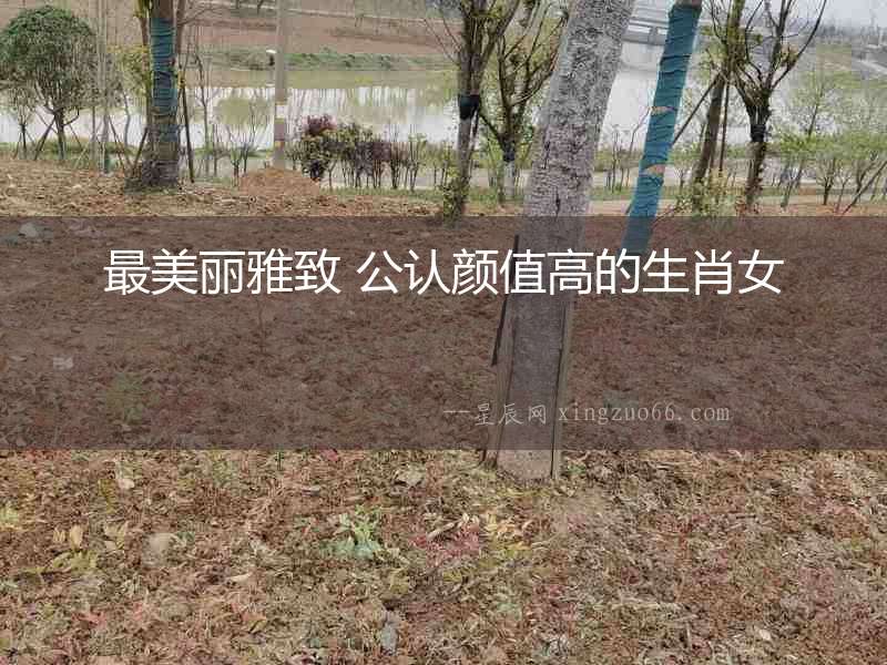 最美麗雅致 公認顏值高的生肖女