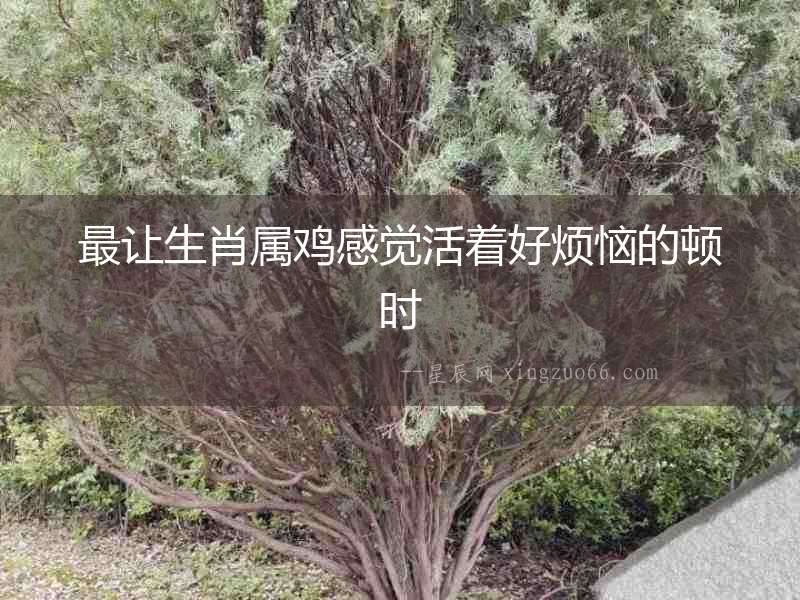 最讓生肖屬雞感覺活著好煩惱的頓時