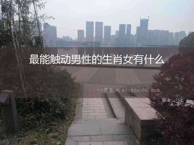 最能觸動男性的生肖女有什么