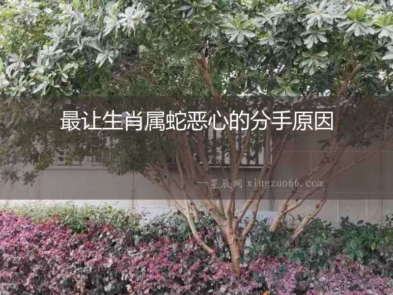 最讓生肖屬蛇惡心的分手原因