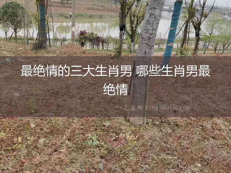 最絕情的三大生肖男 哪些生肖男最絕情