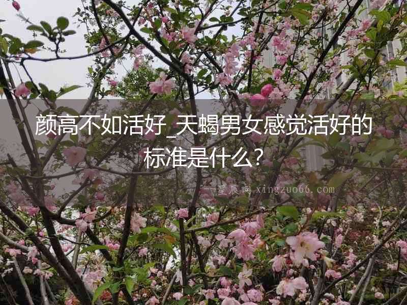 顏高不如活好_天蝎男女感覺活好的標準是什么？
