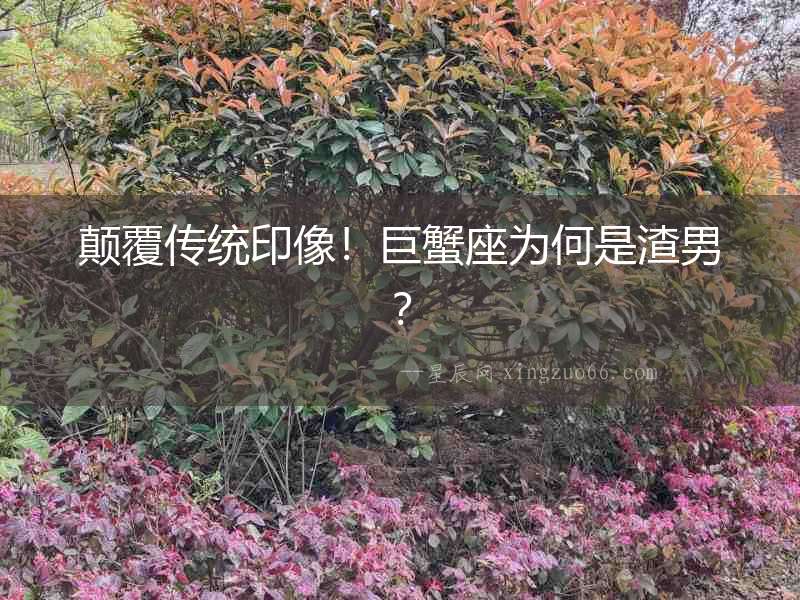 顛覆傳統印像！巨蟹座為何是渣男？