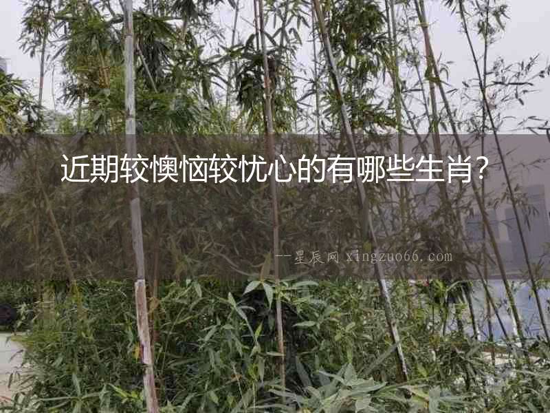 近期較懊惱較憂心的有哪些生肖？