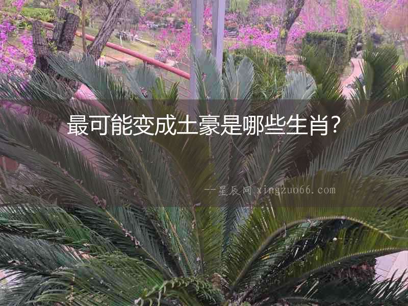 最可能變成土豪是哪些生肖？