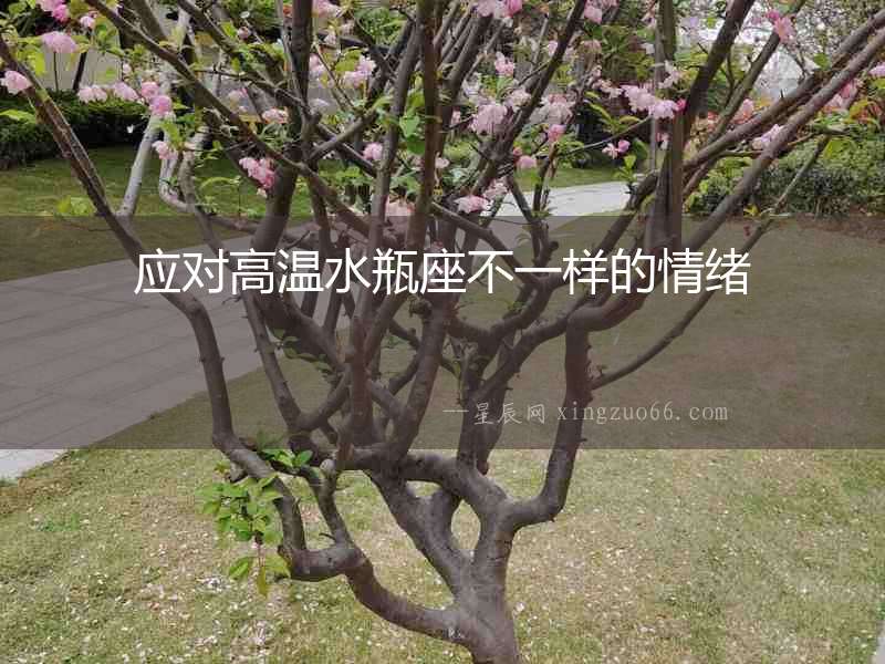 應對高溫水瓶座不一樣的情緒