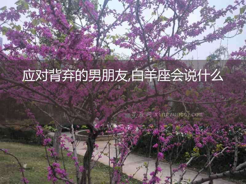 應對背棄的男朋友,白羊座會說什么