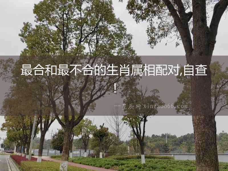 最合和最不合的生肖屬相配對(duì),自查!