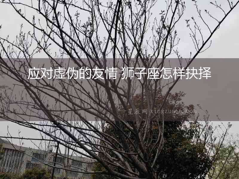 應對虛偽的友情 獅子座怎樣抉擇