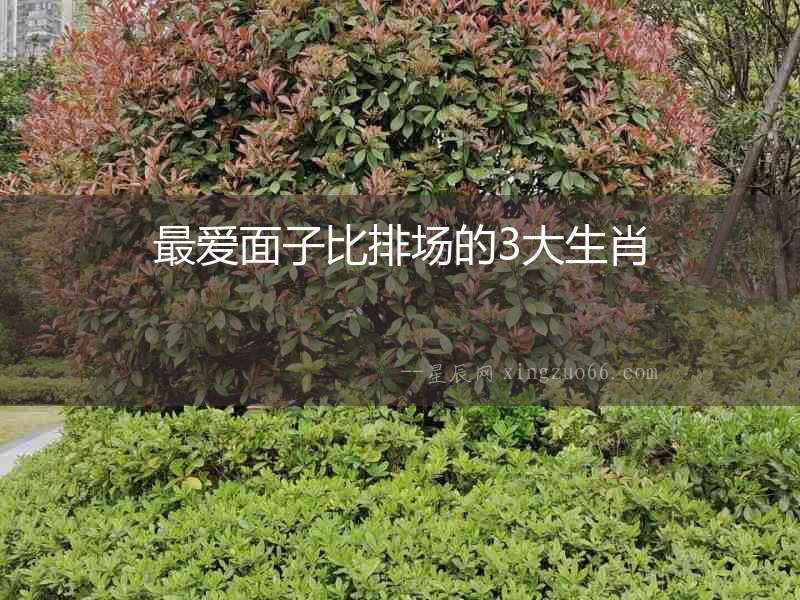 最愛面子比排場(chǎng)的3大生肖