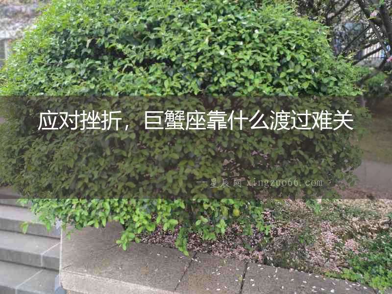 應對挫折，巨蟹座靠什么渡過難關