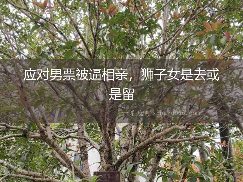 應對男票被逼相親，獅子女是去或是留