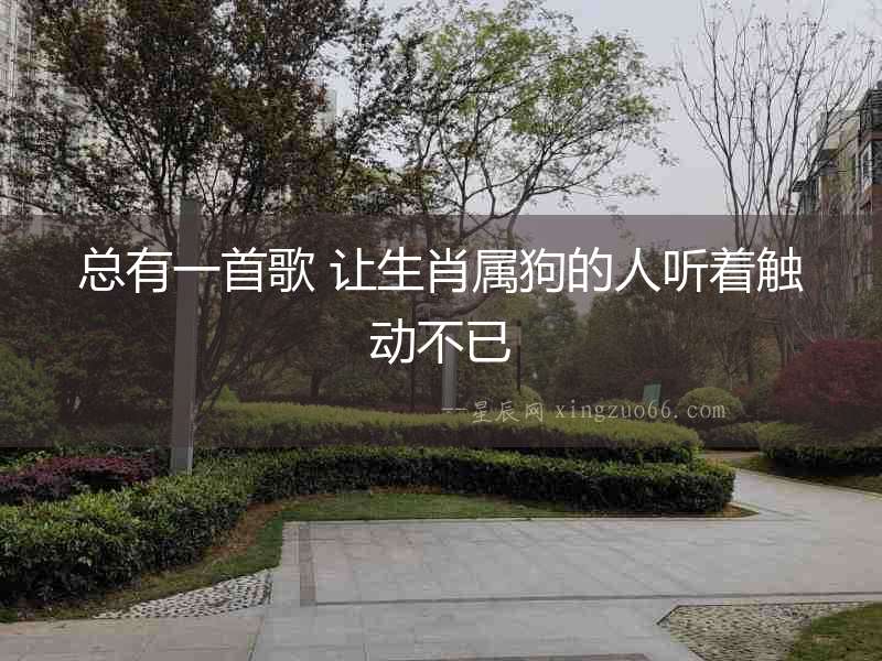 總有一首歌 讓生肖屬狗的人聽著觸動不已