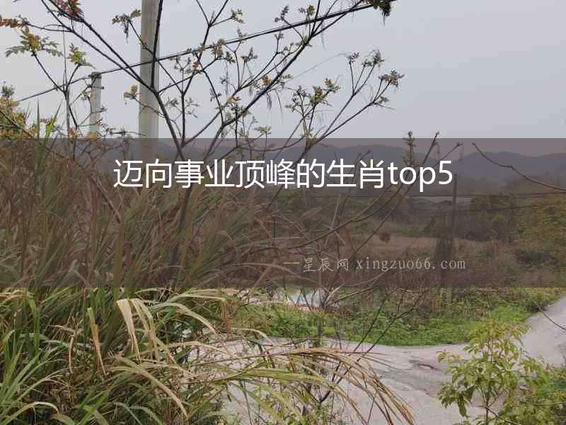 邁向事業(yè)頂峰的生肖top5