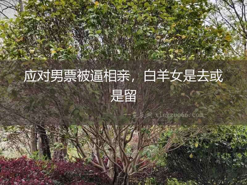 應對男票被逼相親，白羊女是去或是留